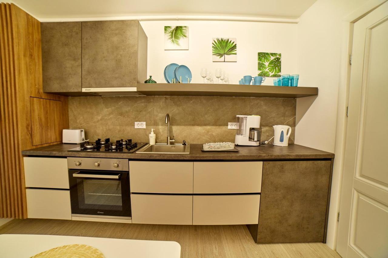 Avram Iancu Apartments 브라쇼브 외부 사진